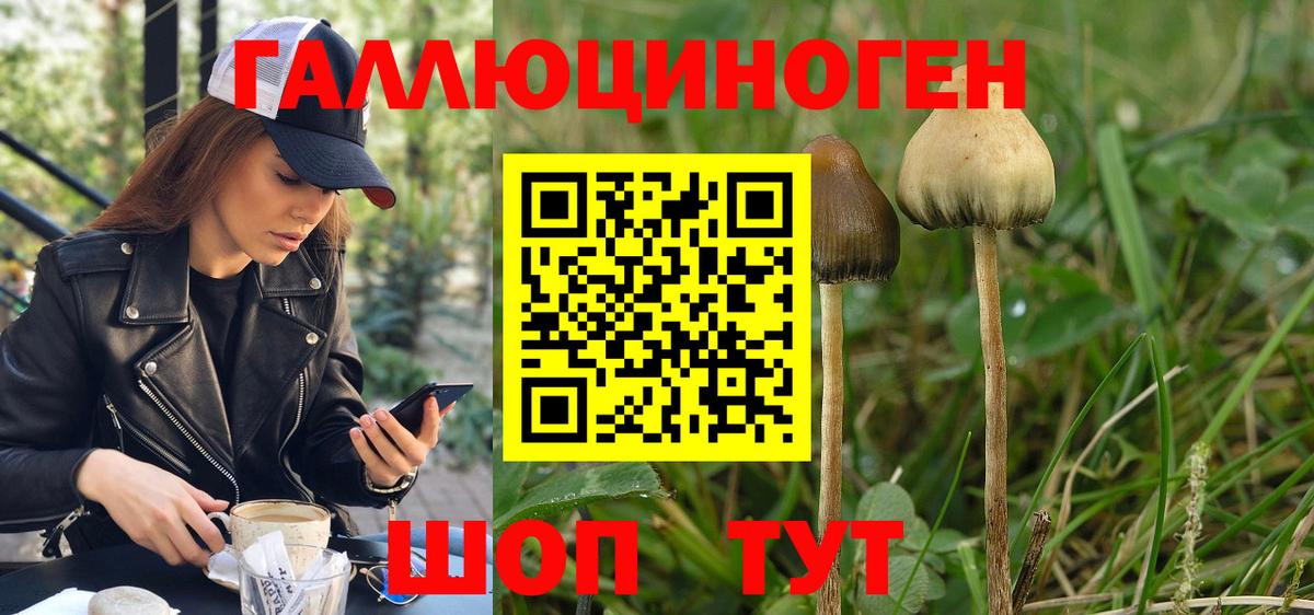 Псилоцибиновые грибы мухоморы Уссурийск