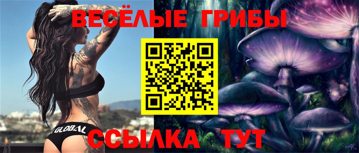 Галлюциногенные грибы мицелий  Вход с VPN  Уссурийск 